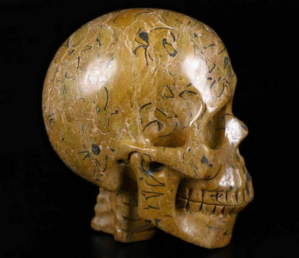 Floriated Jasper Skull